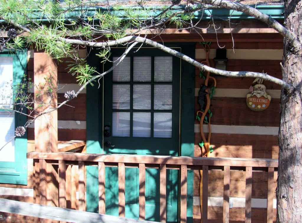 View! Cozy, Private, Fireplace, Hot Tub Log Cabin, Honeymoon! Сивиървил Екстериор снимка